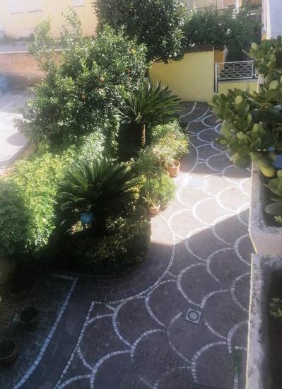  id.4995564