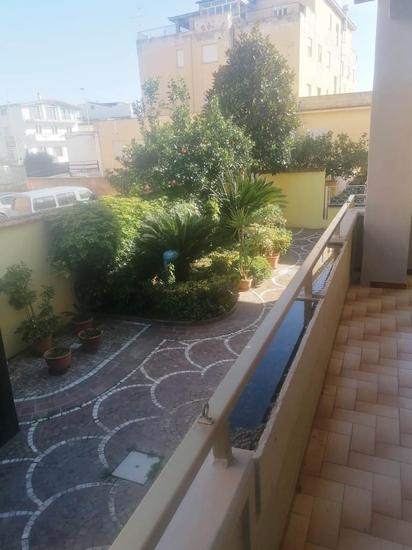  id.4995568
