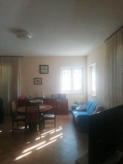  id.4995567