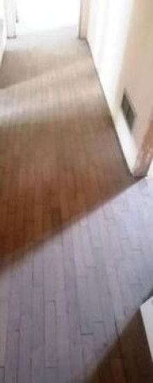  id.5293488