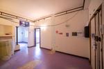  id.5302297