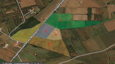 RUSTICO CON TERRENO SU VIGNETO IN ZONA ALTAMENTE PRODUTTIVA!! in Vendita