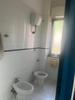  id.5305967
