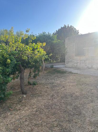  id.5309087