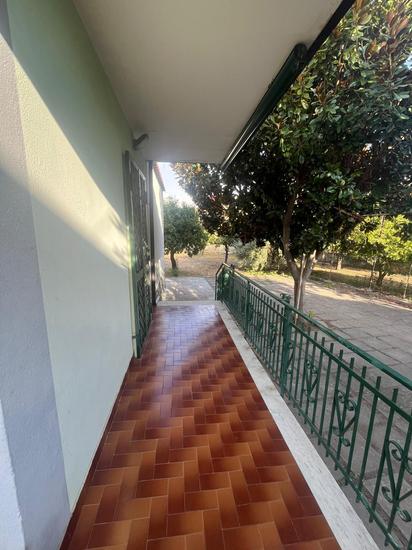  id.5309088