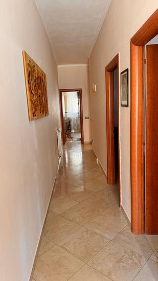  id.5310363